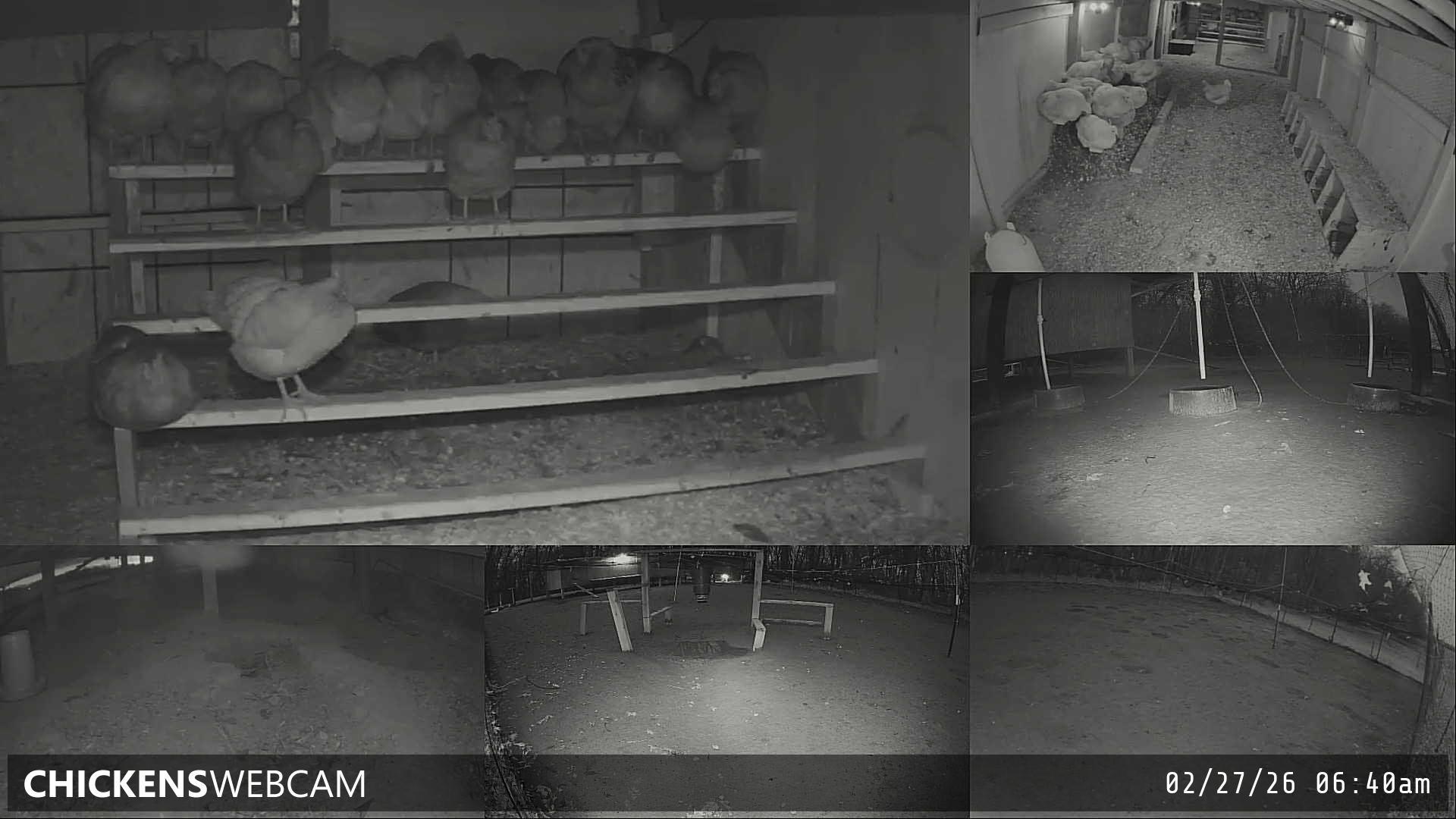 Twitch Stream Preview