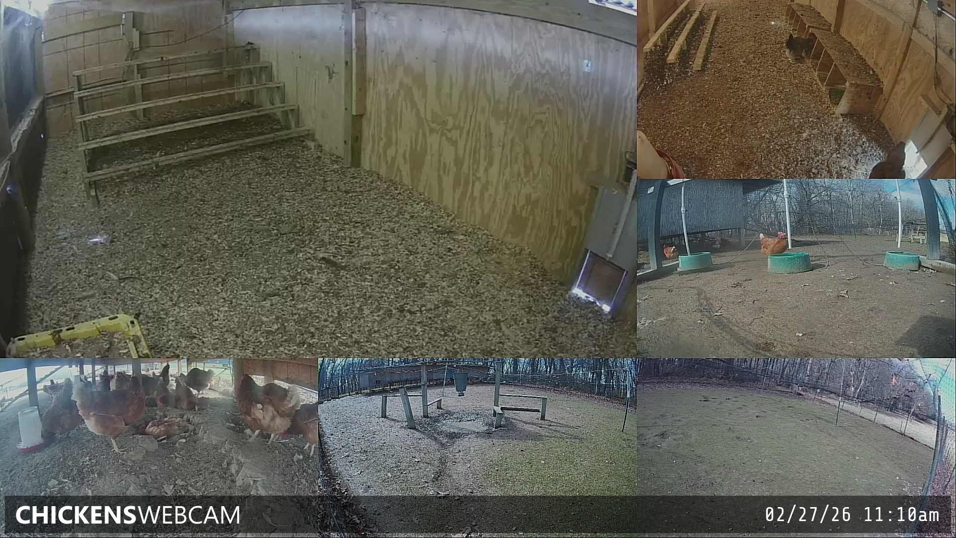 Twitch Stream Preview