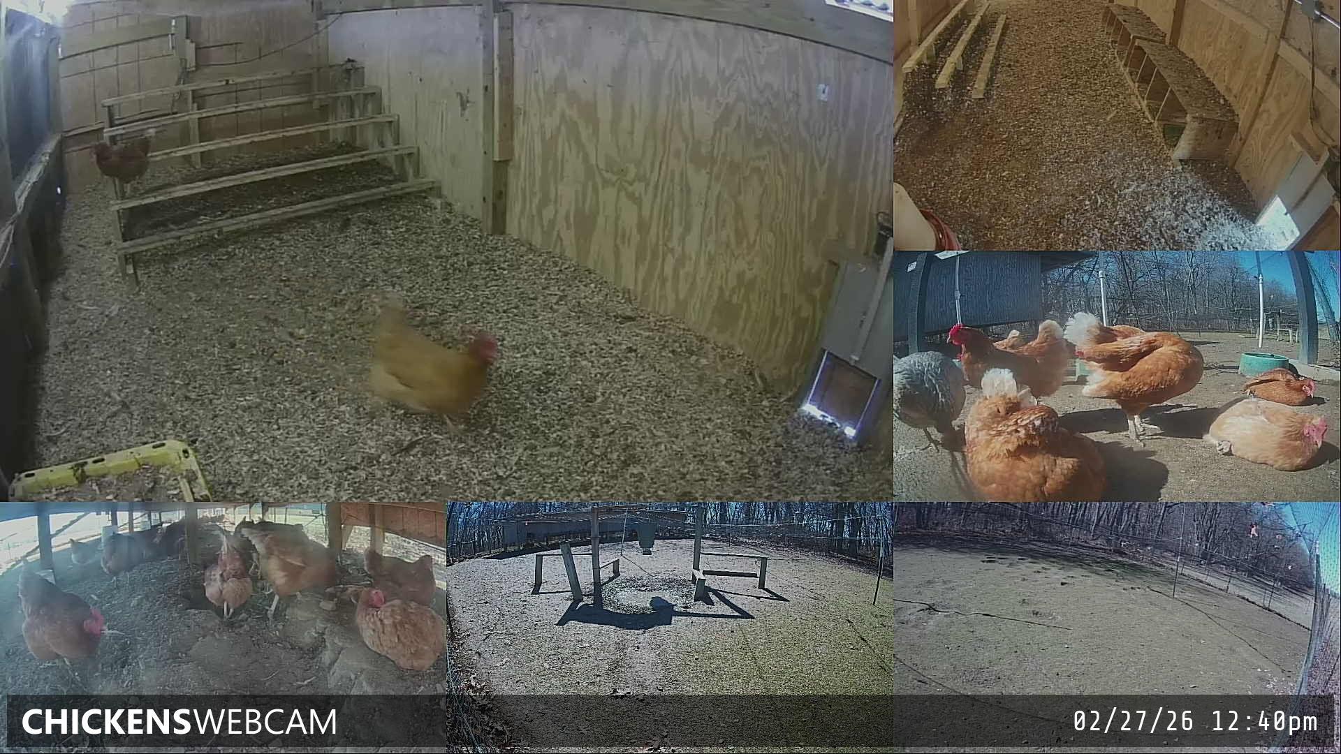 Twitch Stream Preview