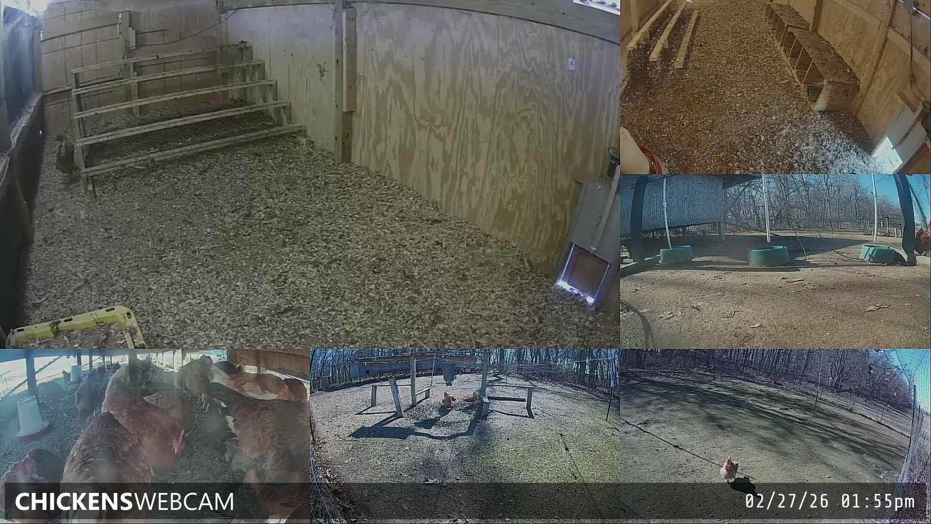 Twitch Stream Preview