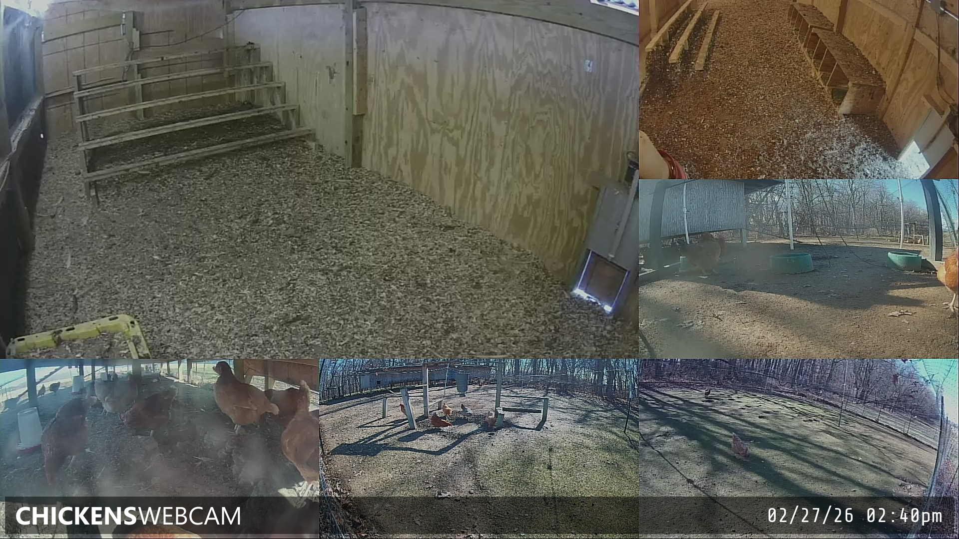 Twitch Stream Preview