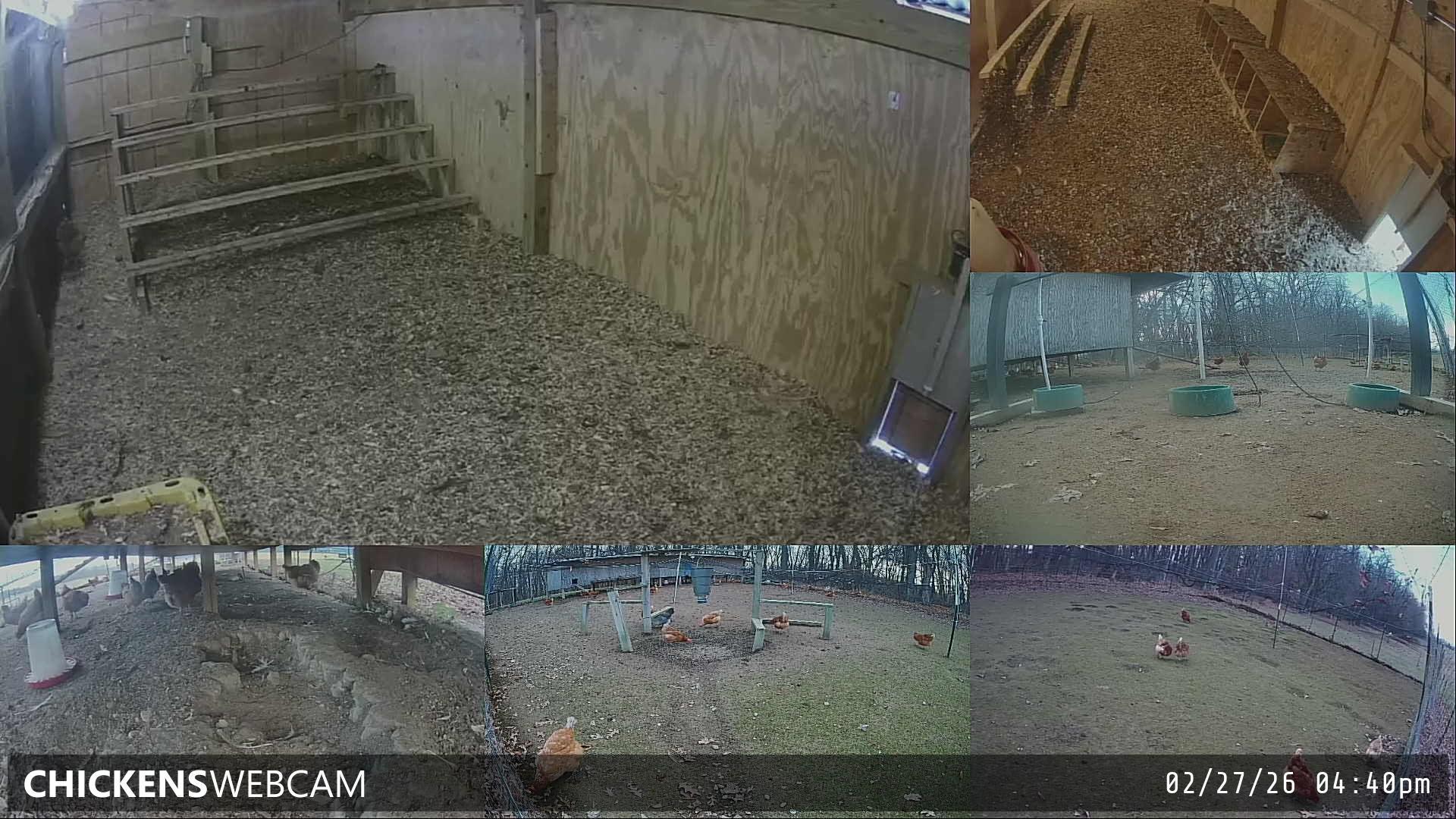 Twitch Stream Preview