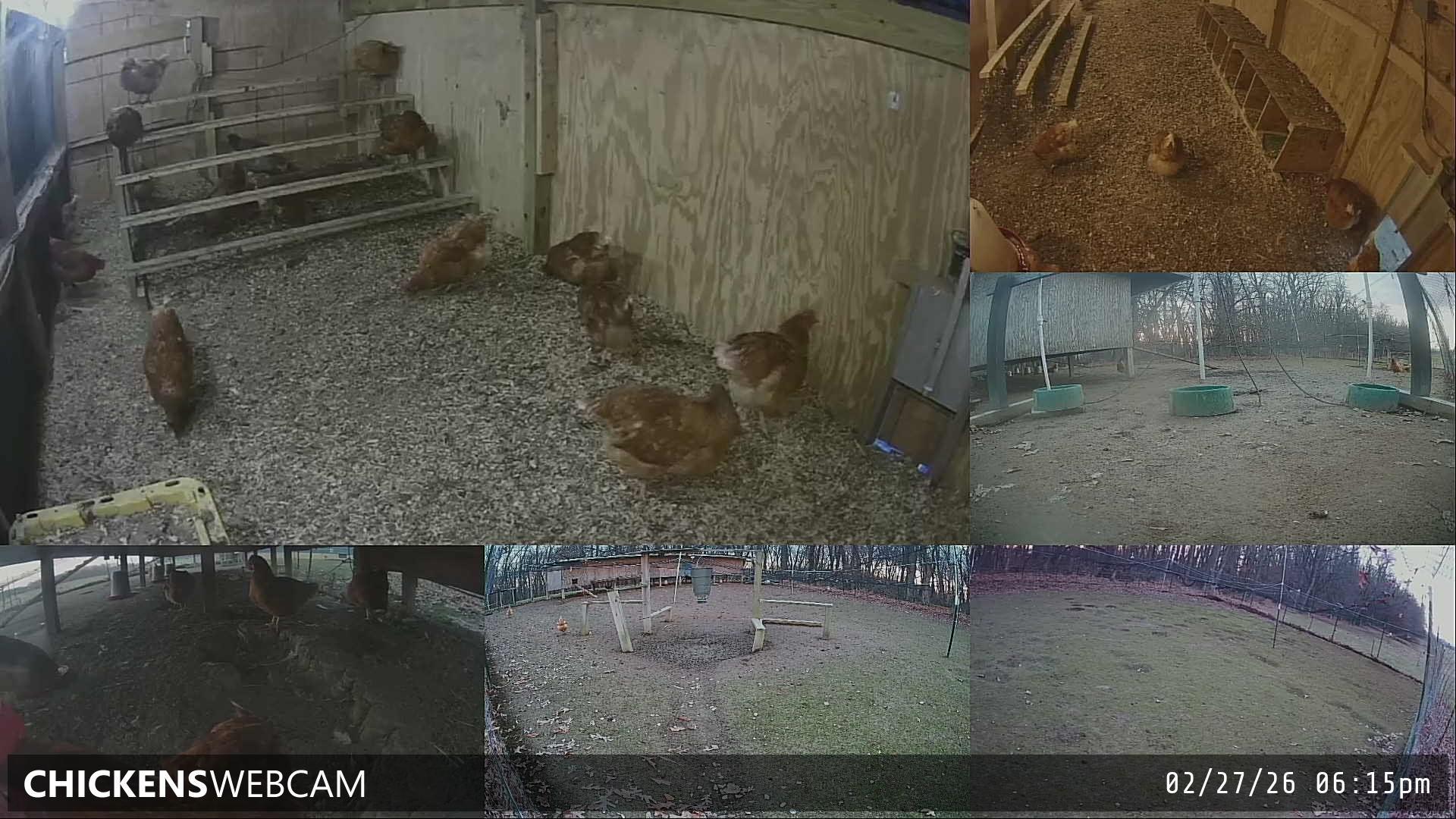 Twitch Stream Preview