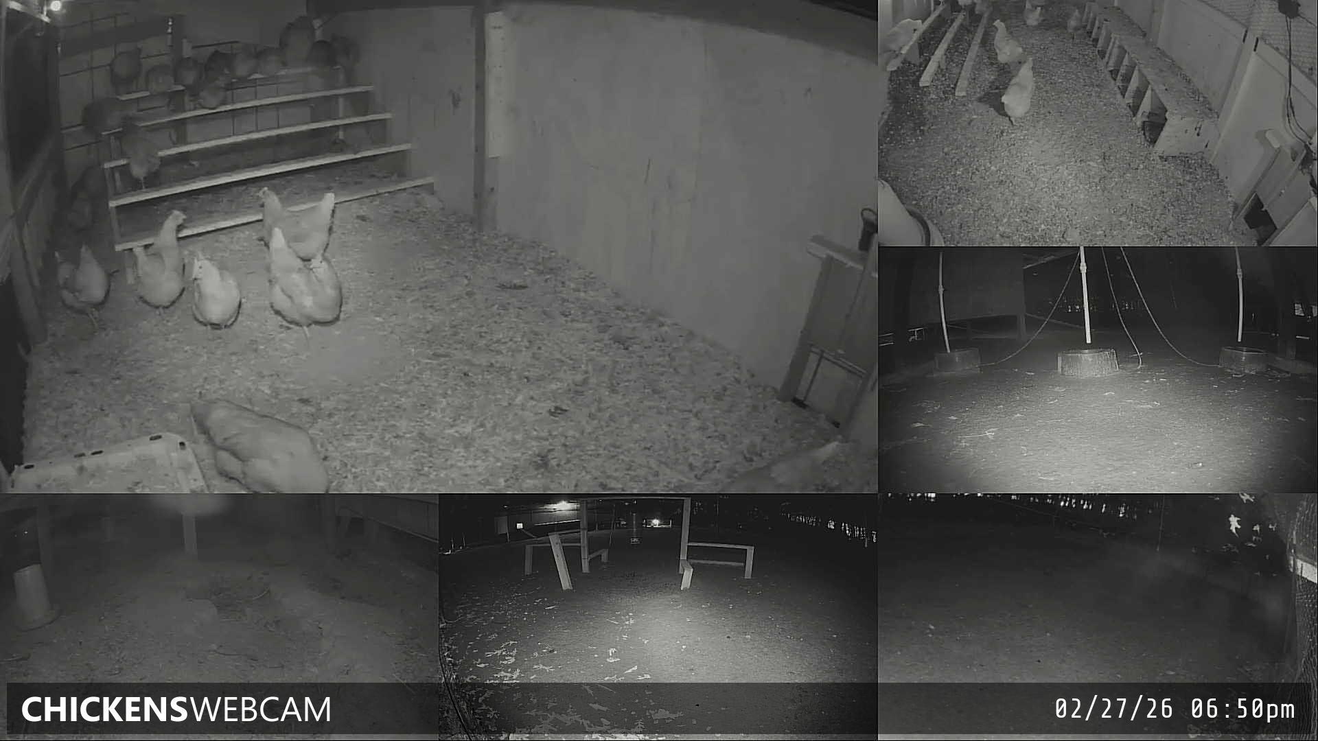 Twitch Stream Preview