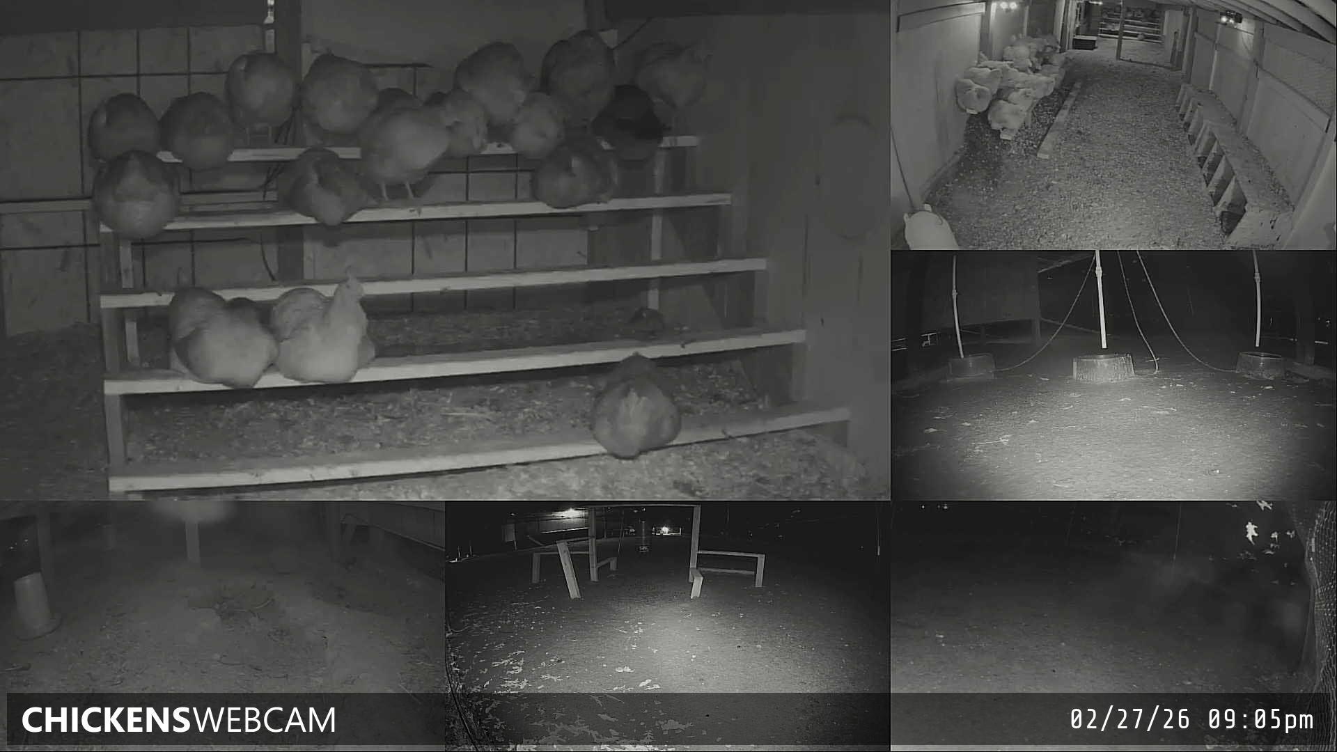 Twitch Stream Preview