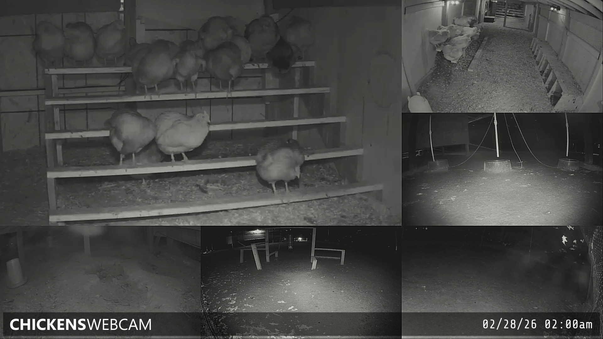 Twitch Stream Preview