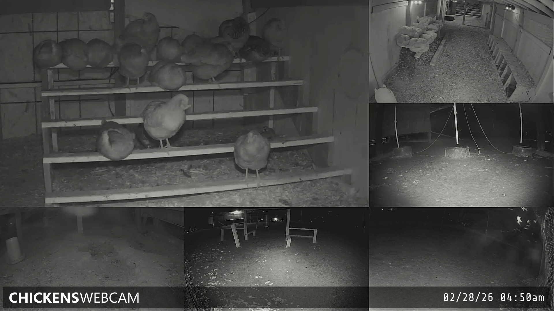 Twitch Stream Preview