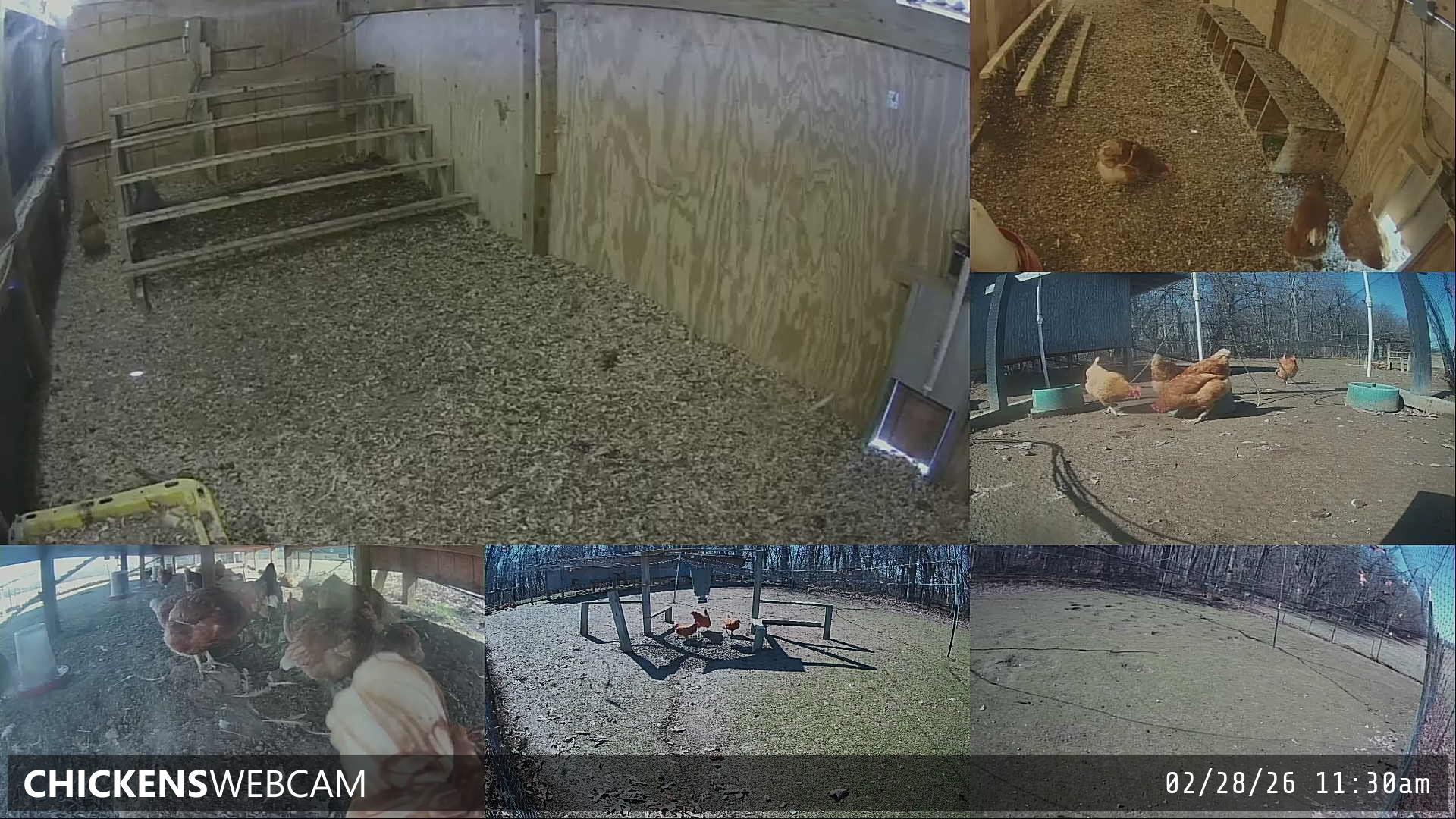 Twitch Stream Preview