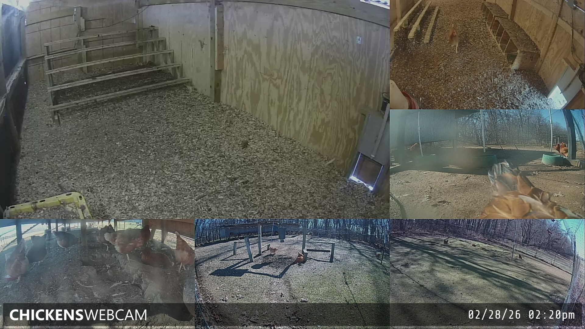 Twitch Stream Preview