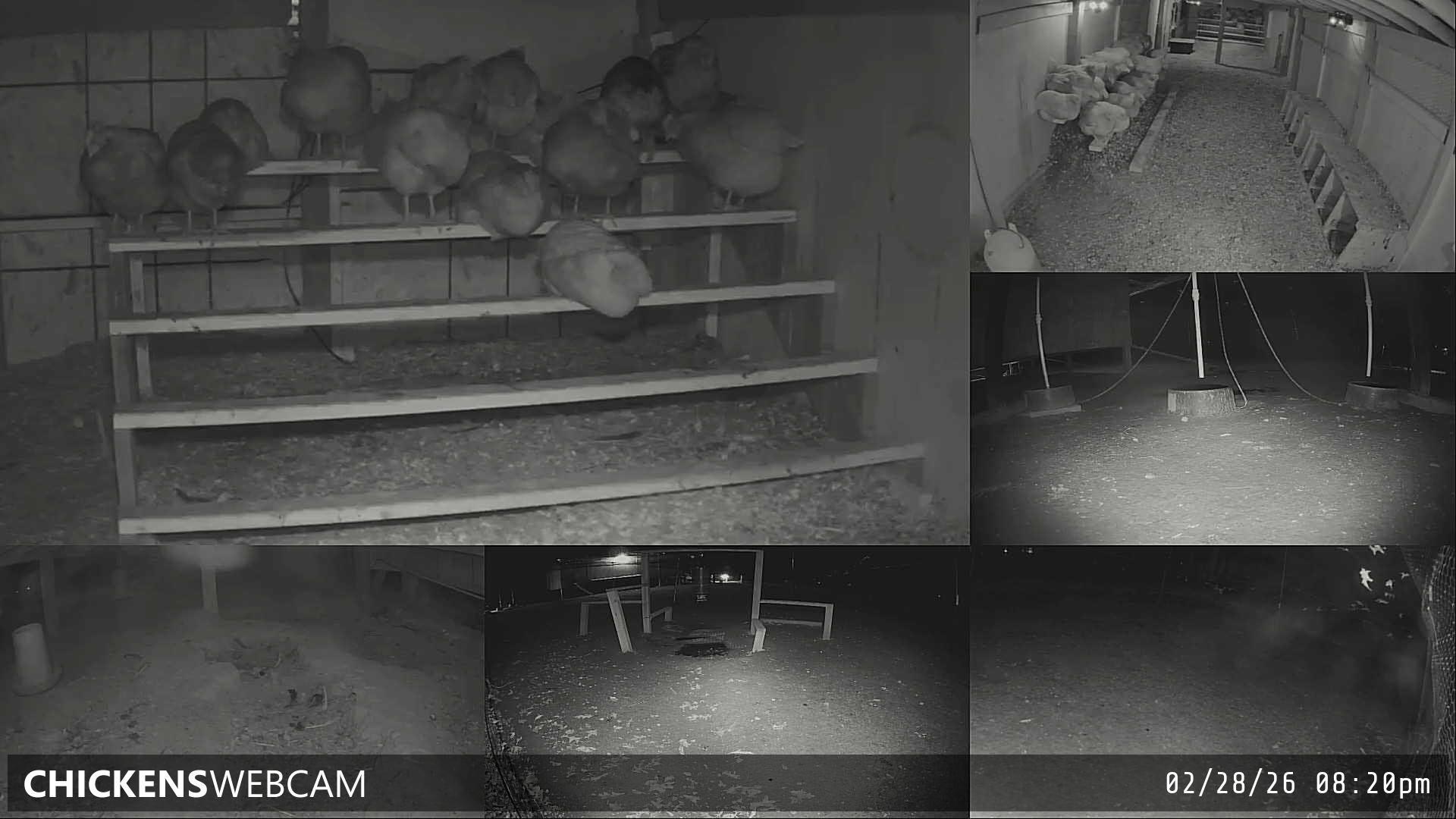 Twitch Stream Preview