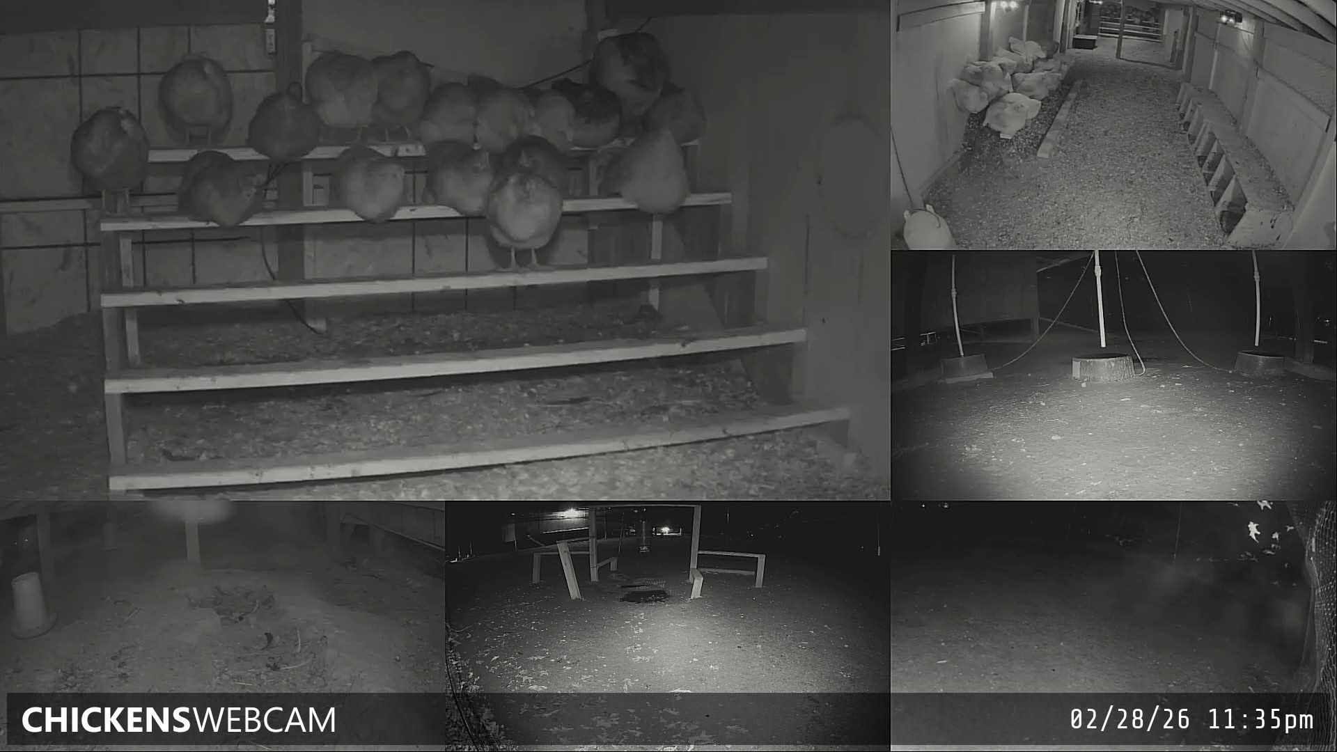 Twitch Stream Preview