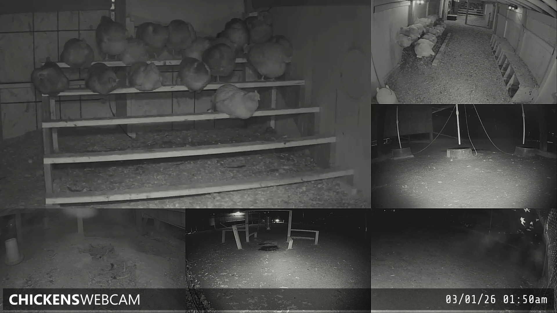 Twitch Stream Preview