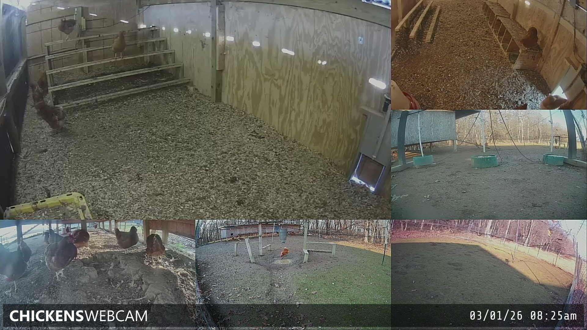 Twitch Stream Preview