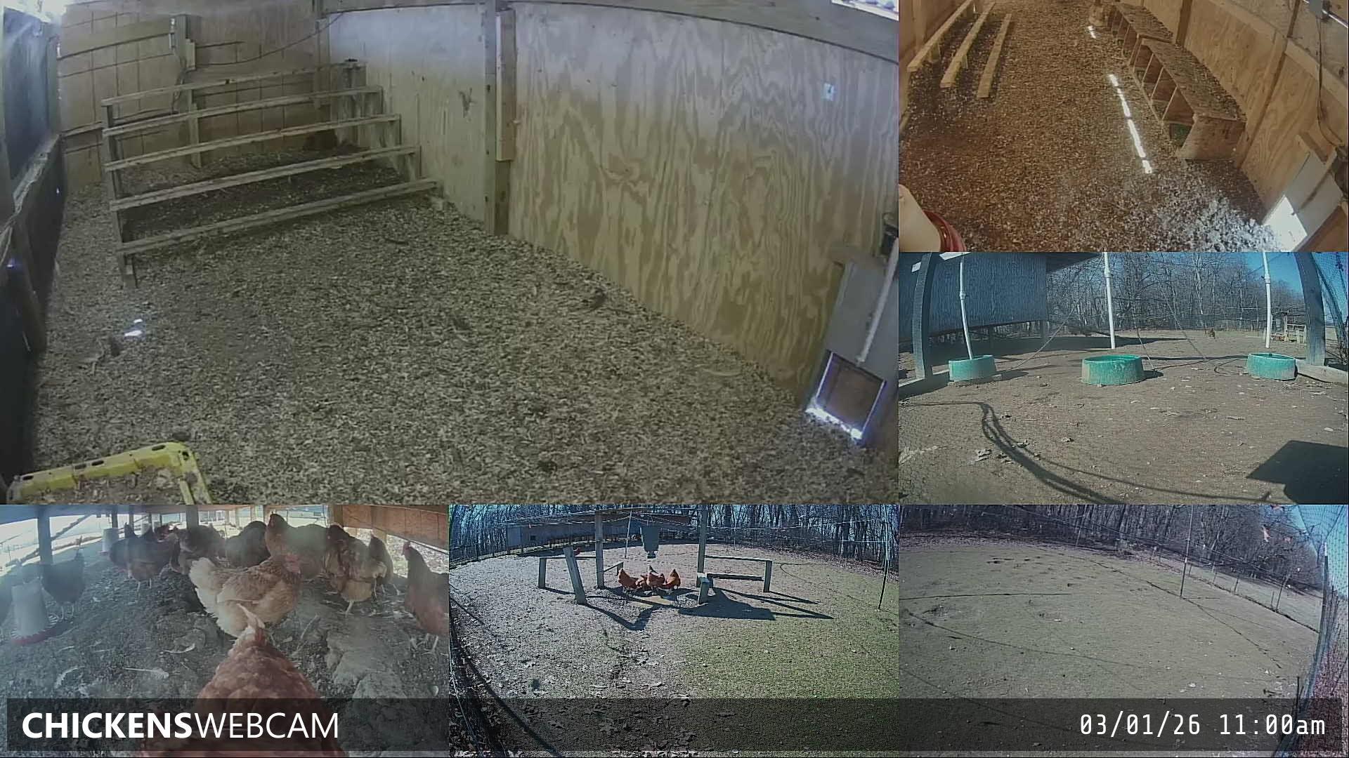 Twitch Stream Preview