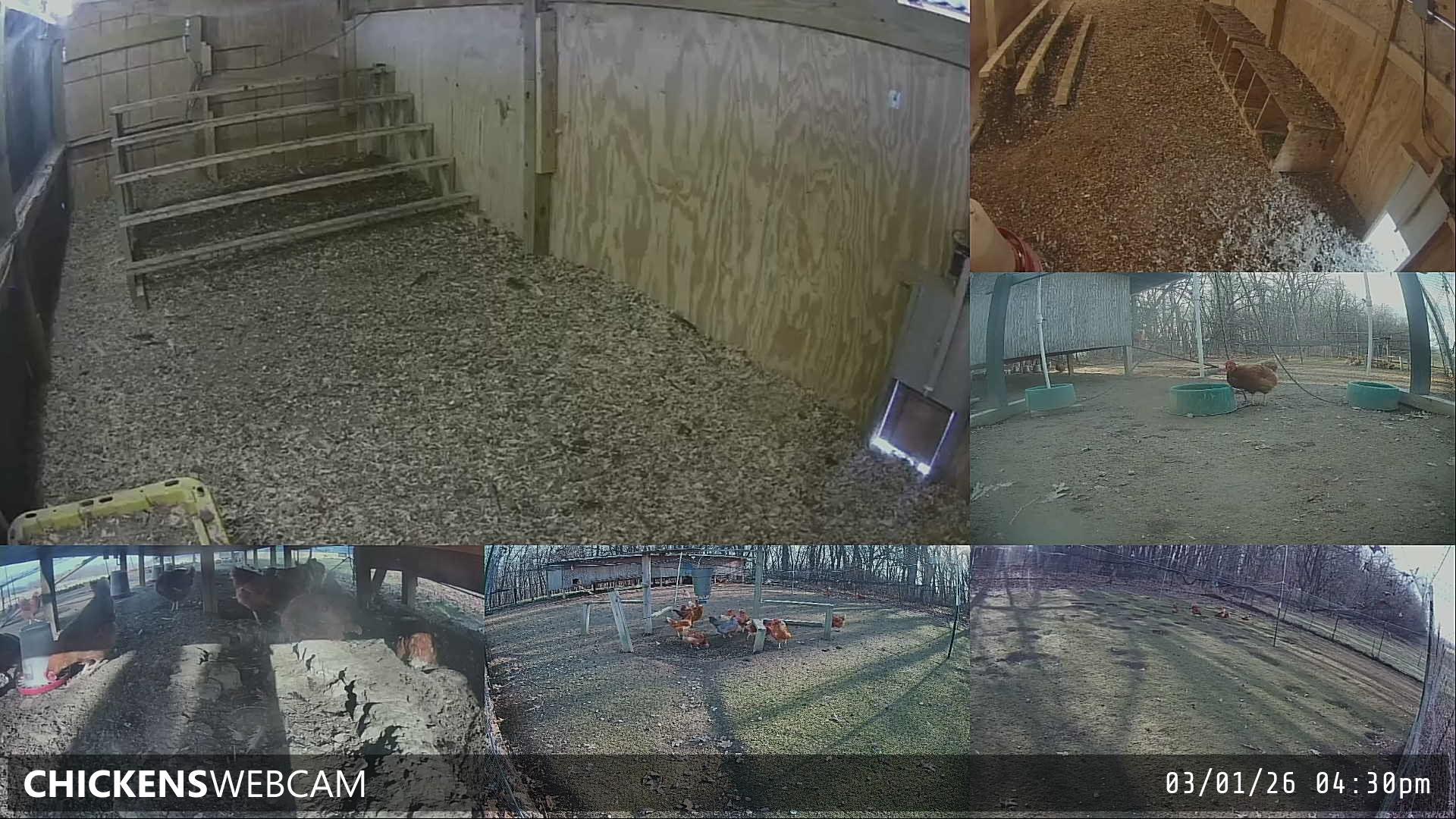 Twitch Stream Preview