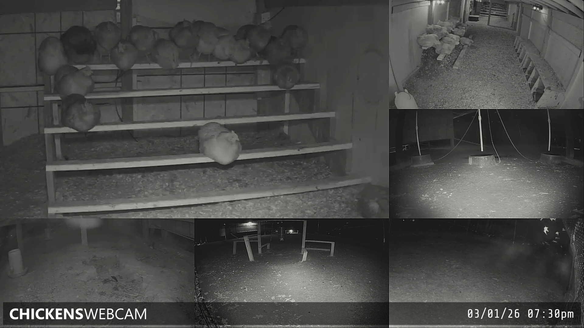 Twitch Stream Preview