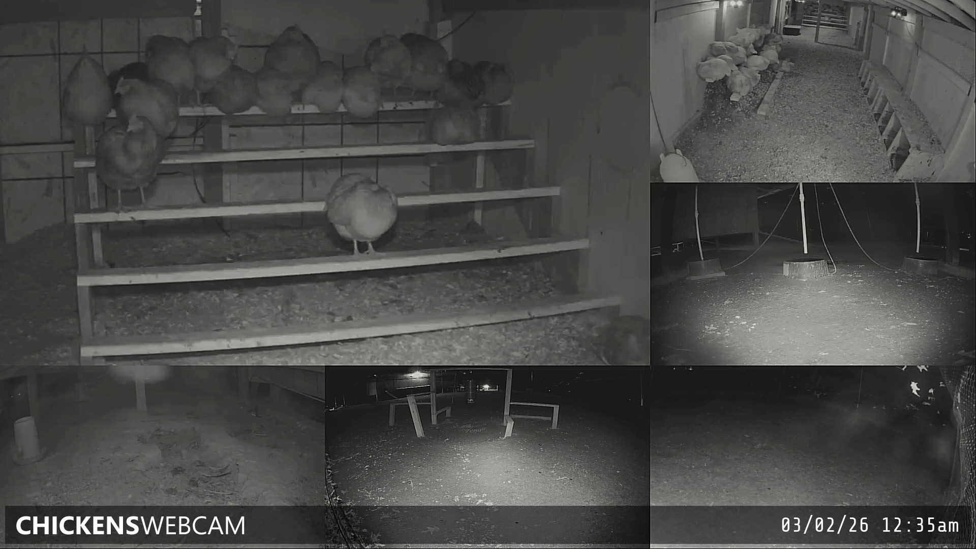 Twitch Stream Preview