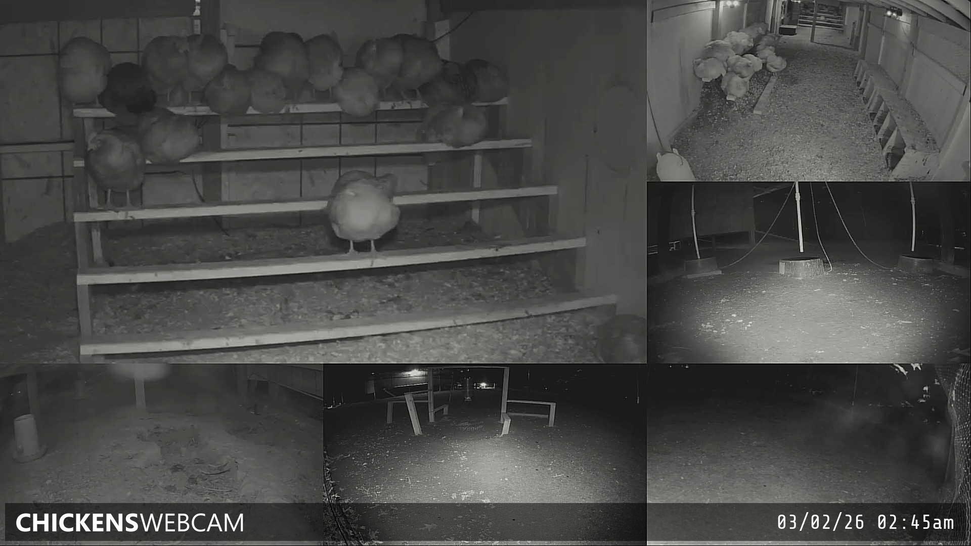 Twitch Stream Preview