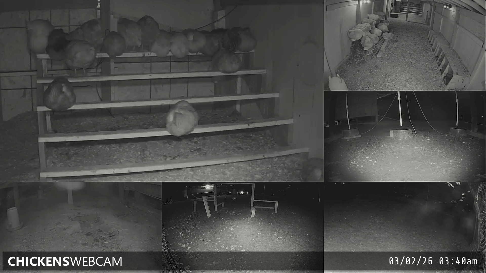 Twitch Stream Preview