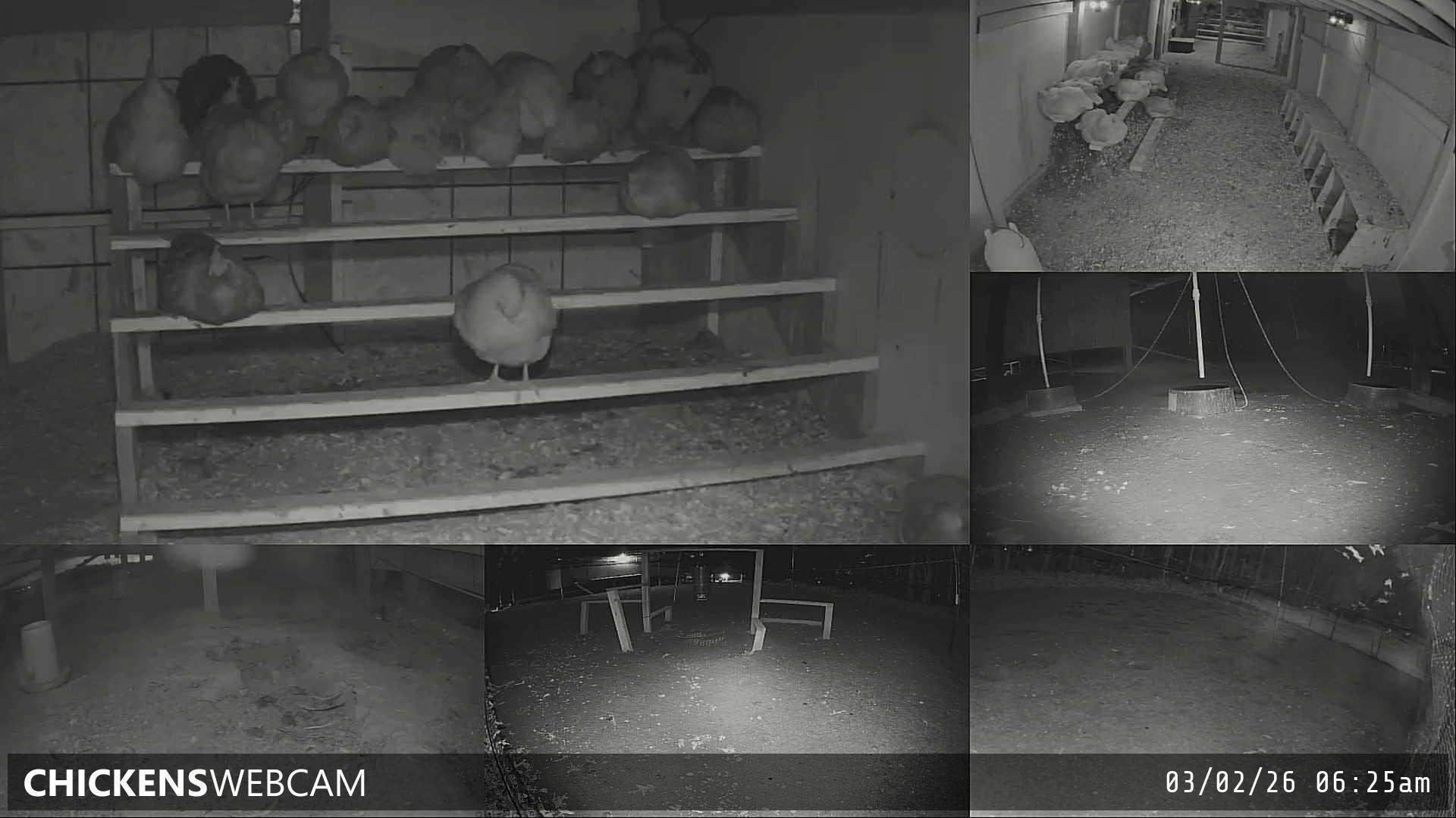 Twitch Stream Preview