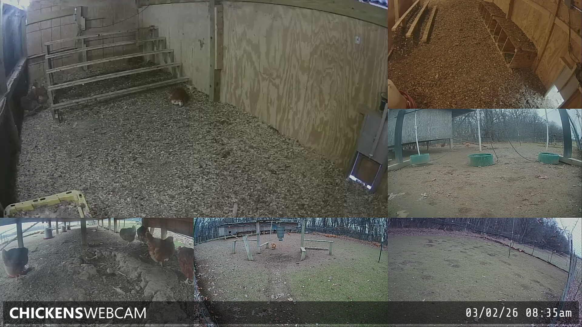 Twitch Stream Preview