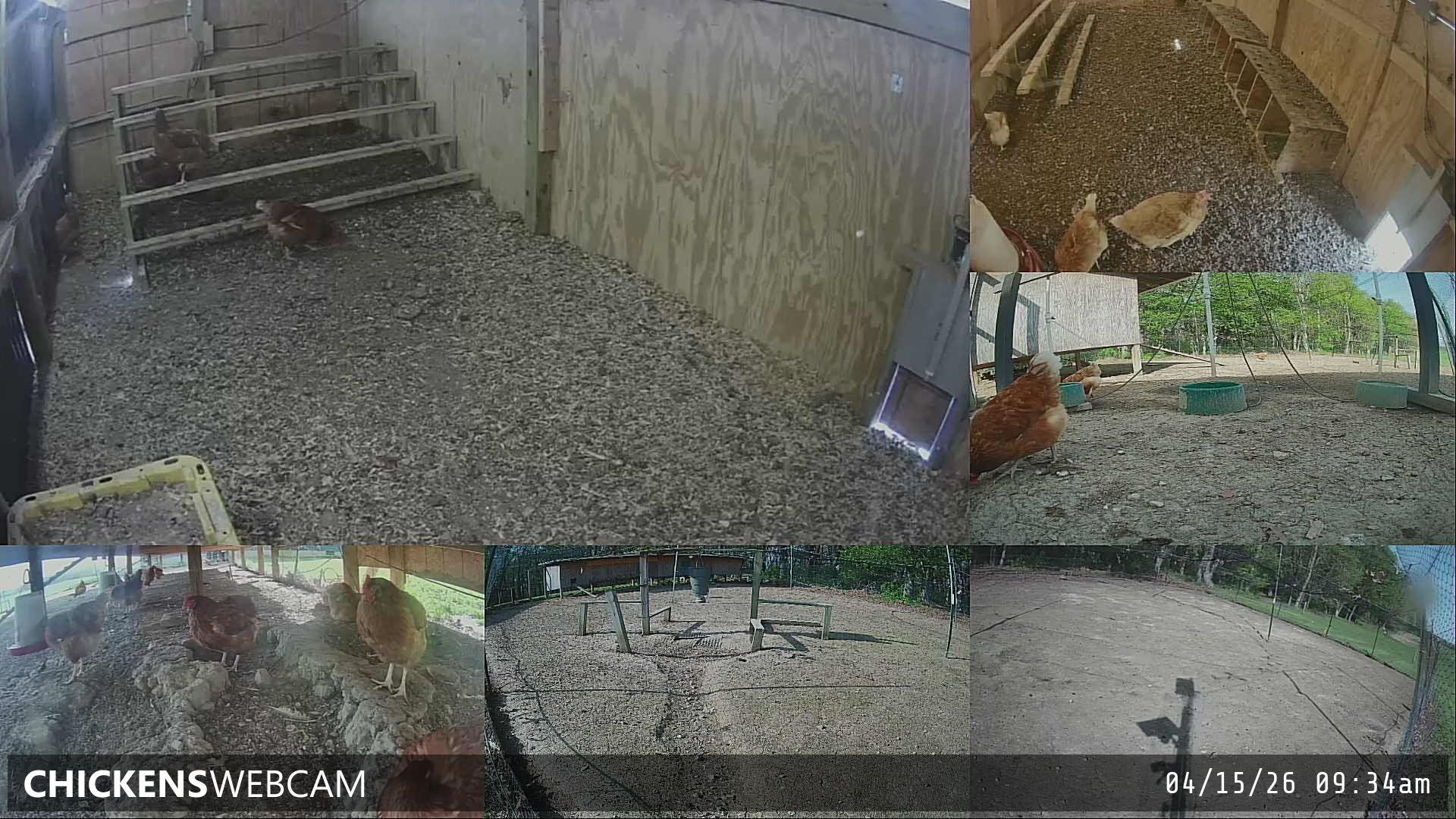 Twitch Stream Preview