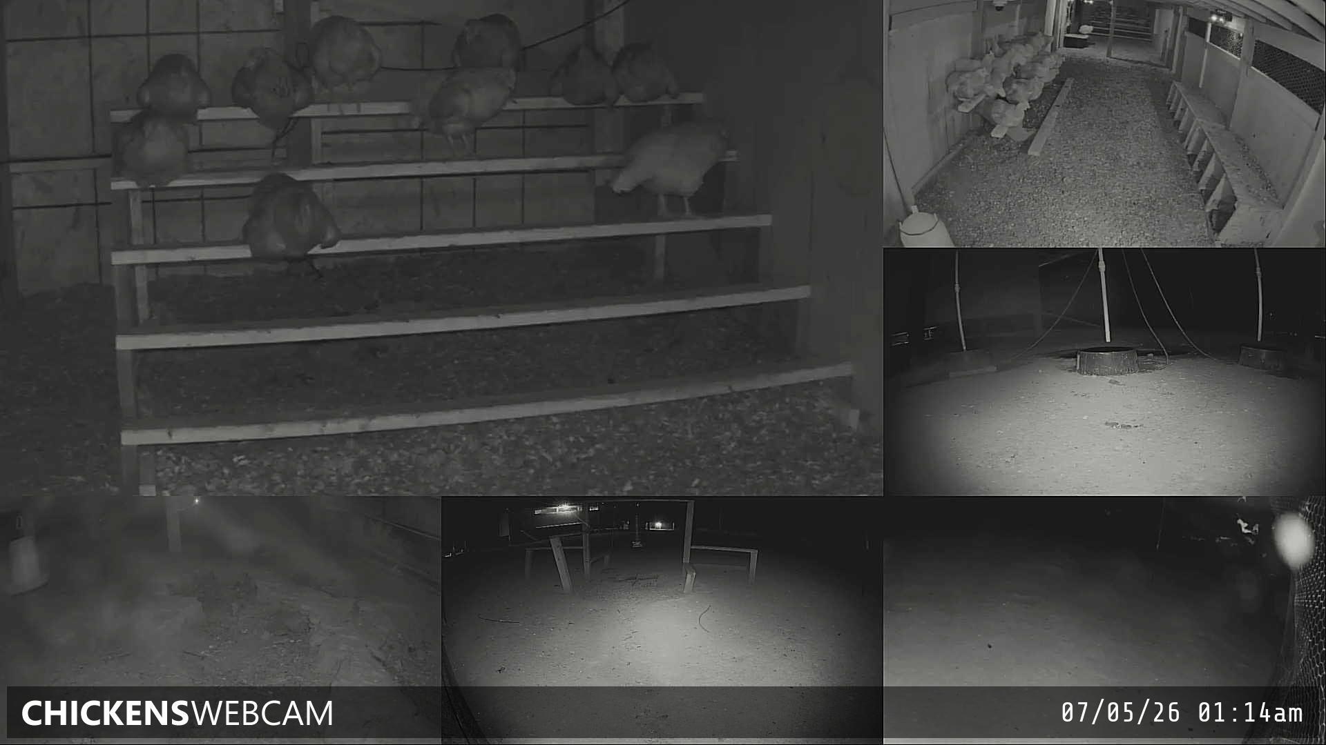 Twitch Stream Preview