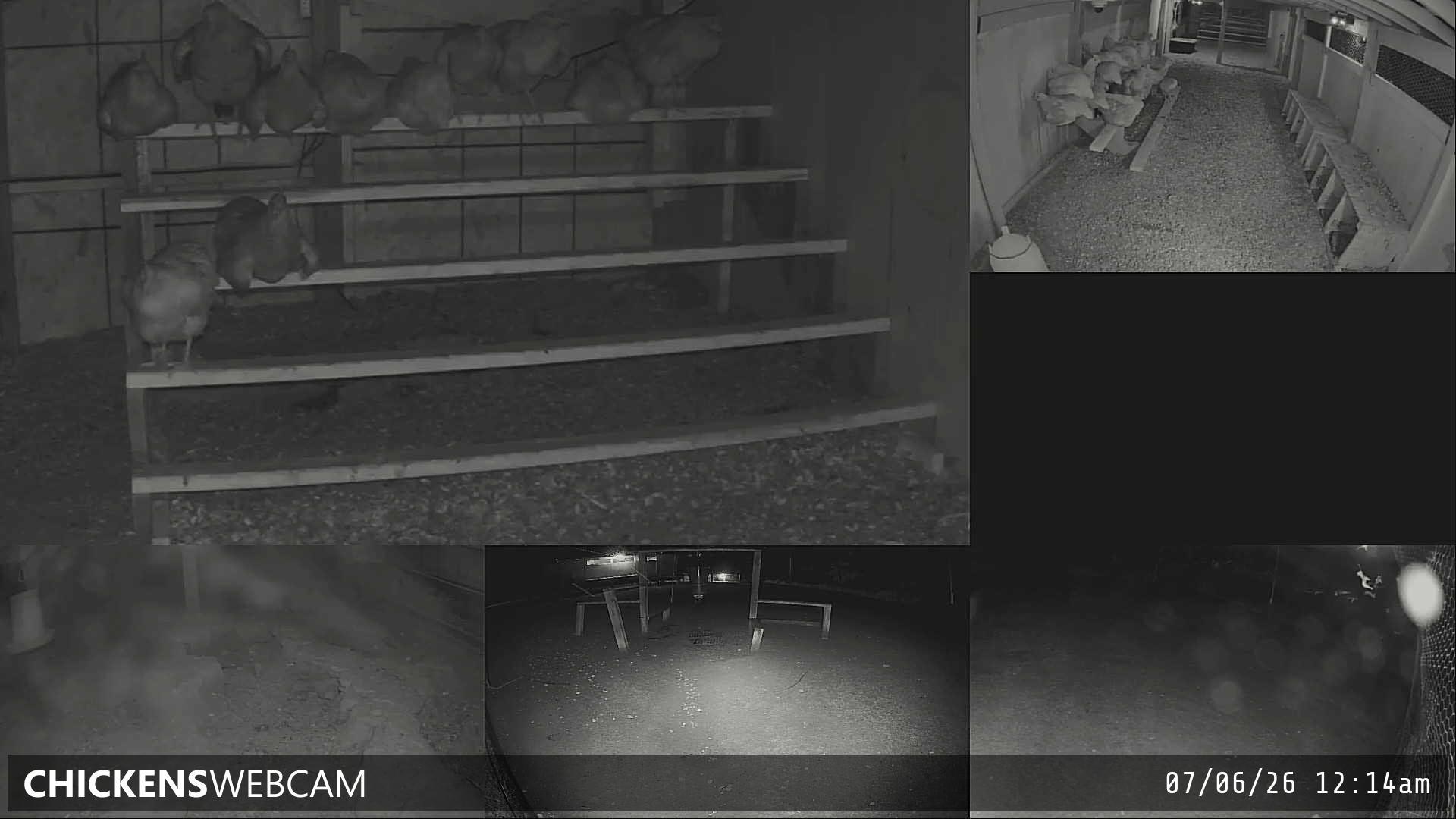 Twitch Stream Preview