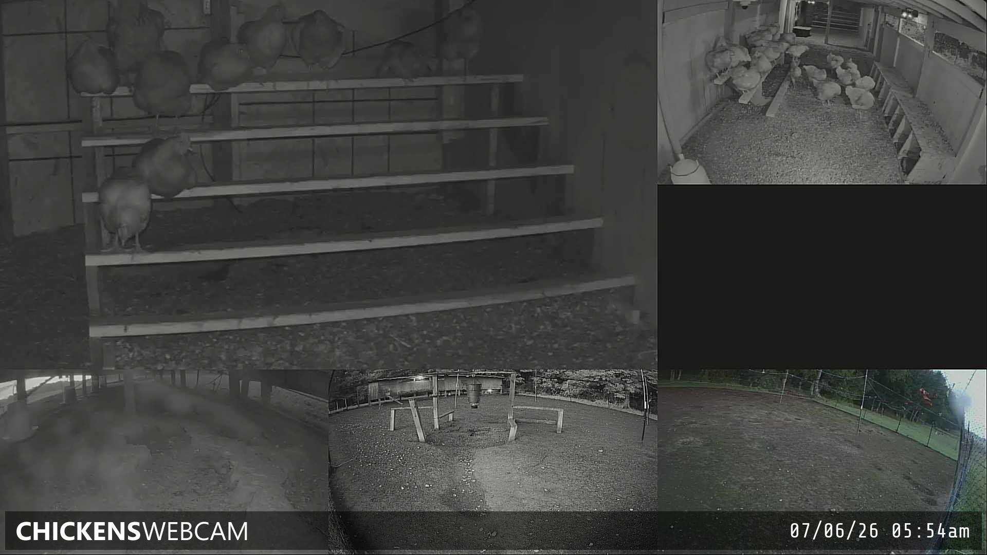 Twitch Stream Preview