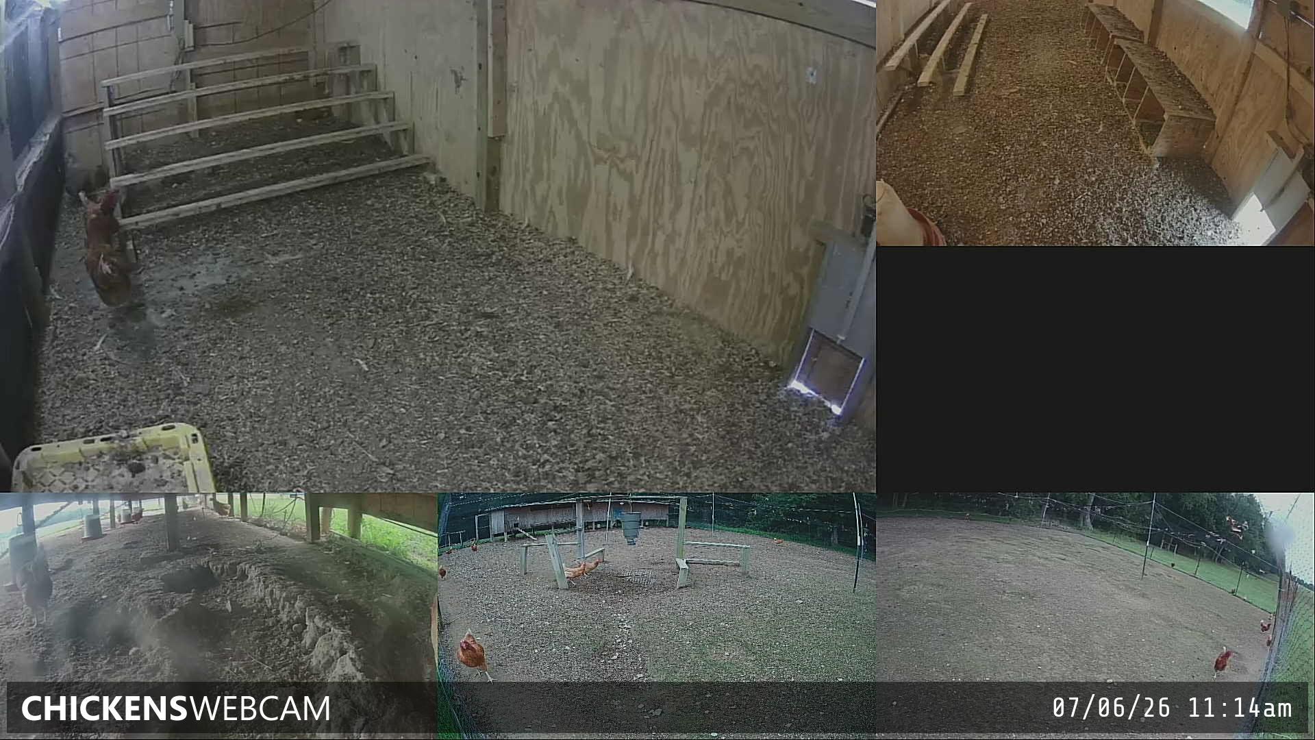 Twitch Stream Preview
