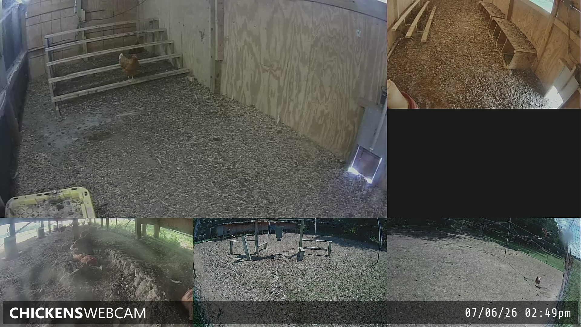 Twitch Stream Preview