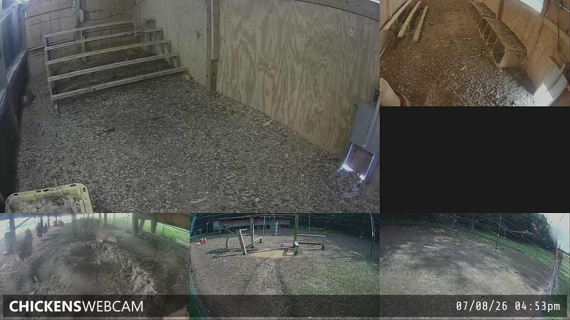 Twitch Stream Preview