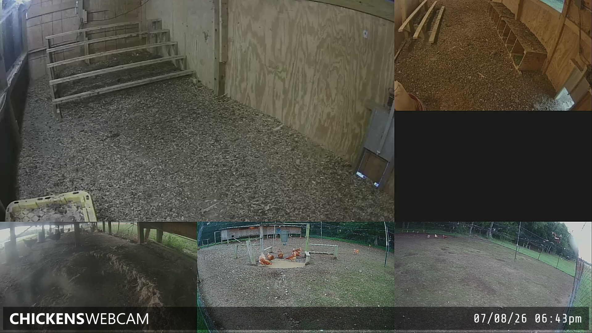 Twitch Stream Preview