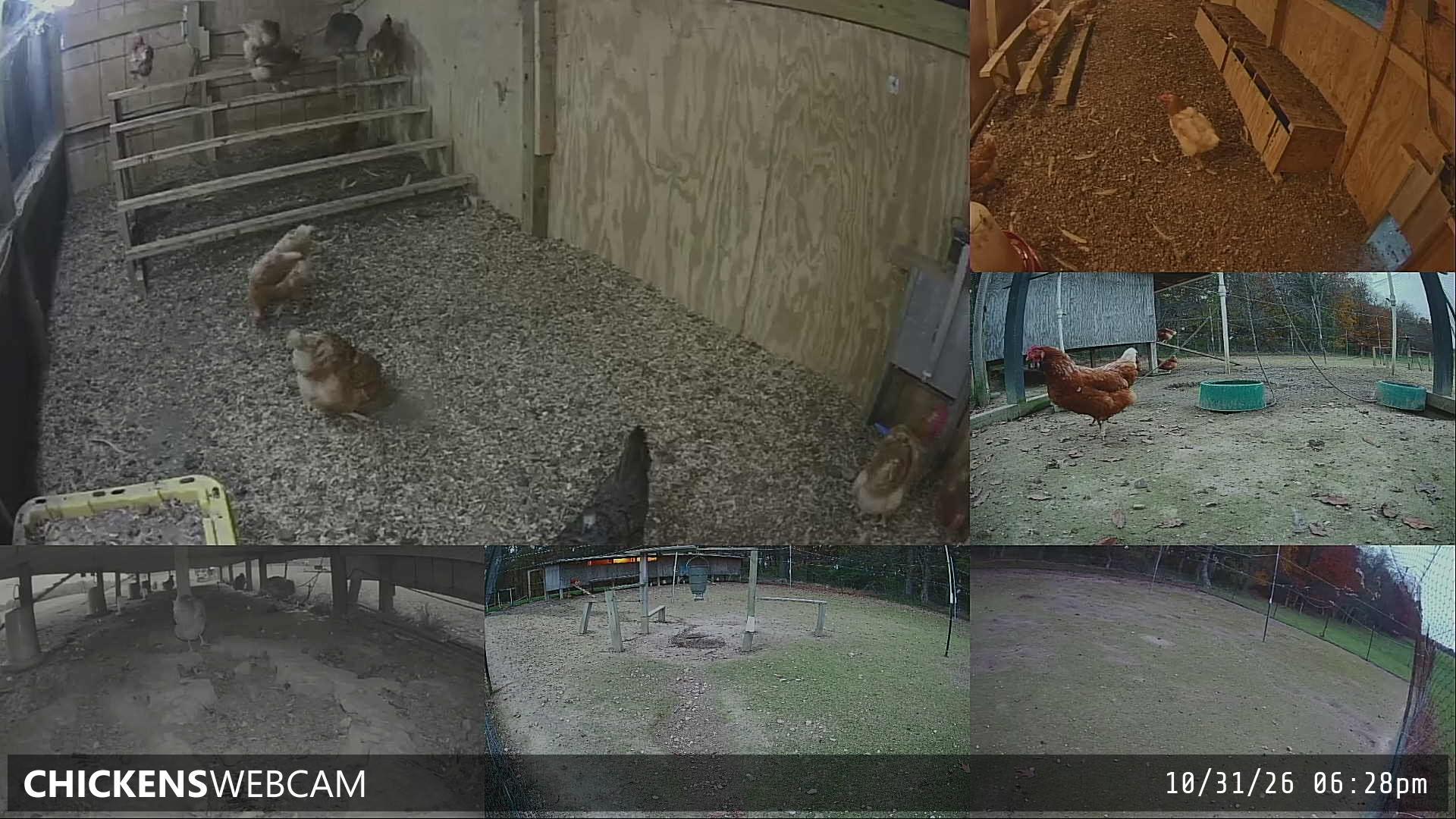 Twitch Stream Preview